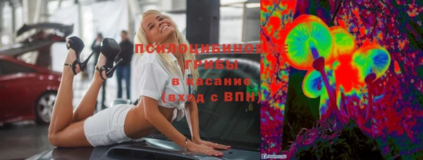 ГАЛЛЮЦИНОГЕННЫЕ ГРИБЫ Богданович