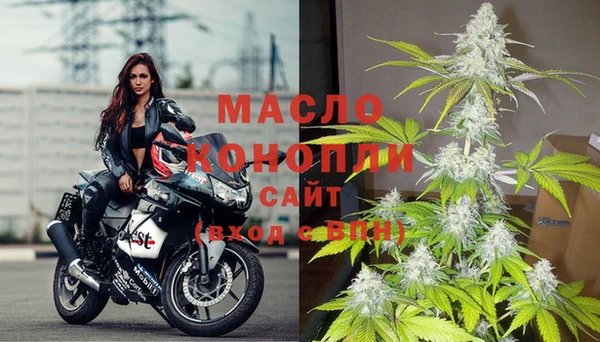ГАЛЛЮЦИНОГЕННЫЕ ГРИБЫ Богданович