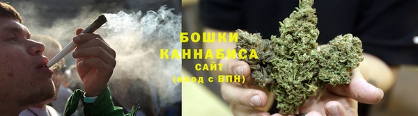 дурь Богородск