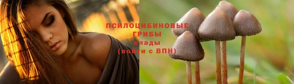 ешки Богородицк