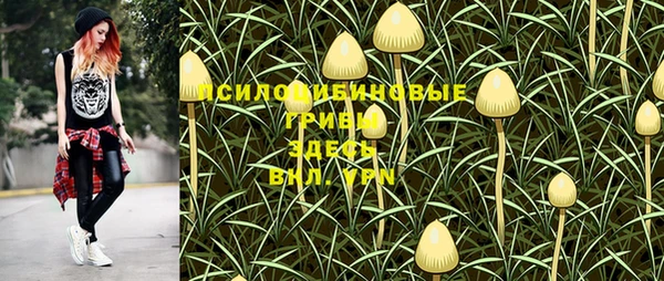 ешки Богородицк