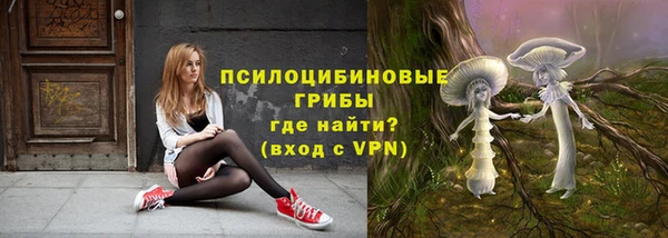 ГАЛЛЮЦИНОГЕННЫЕ ГРИБЫ Богданович